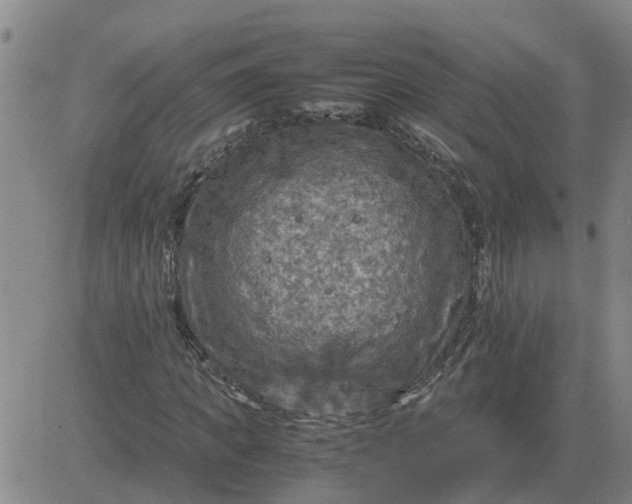 X0000084030917200703022118