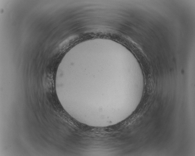 X0000084030918200703022118