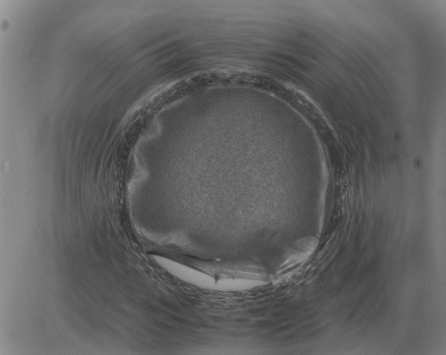 X0000084030919200703022118