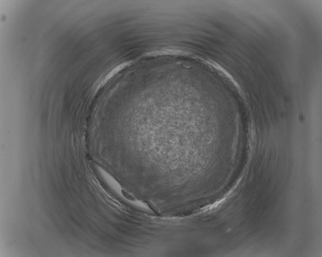 X0000084030921200703022118