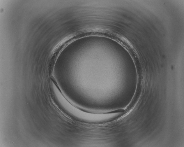 X0000084030922200703022119