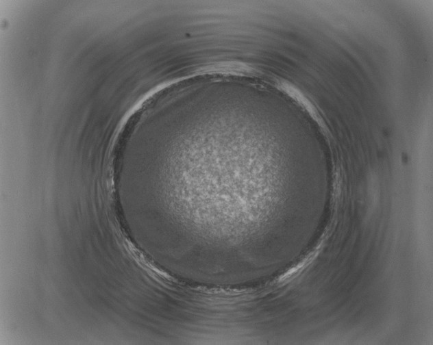 X0000084030923200703022119