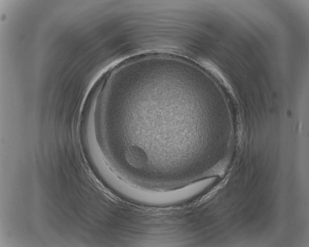 X0000084030924200703022119