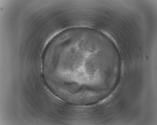 X0000084030925200703022119