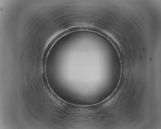 X0000084030927200703022119