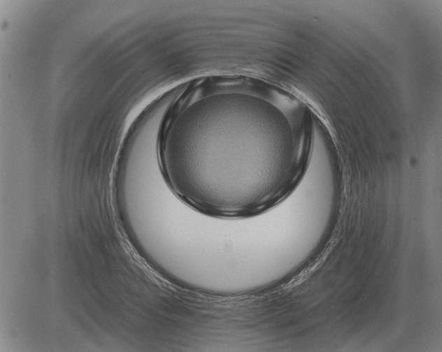 X0000084030928200703022119