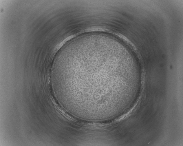 X0000084030929200703022119