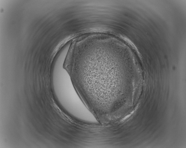 X0000084030930200703022119