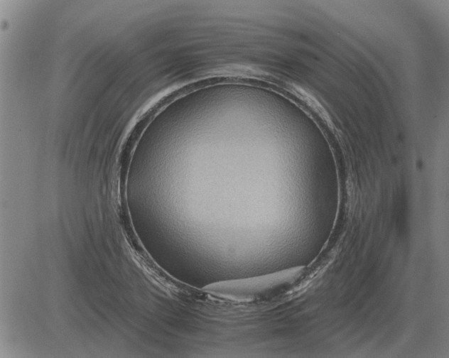 X0000084030931200703022119