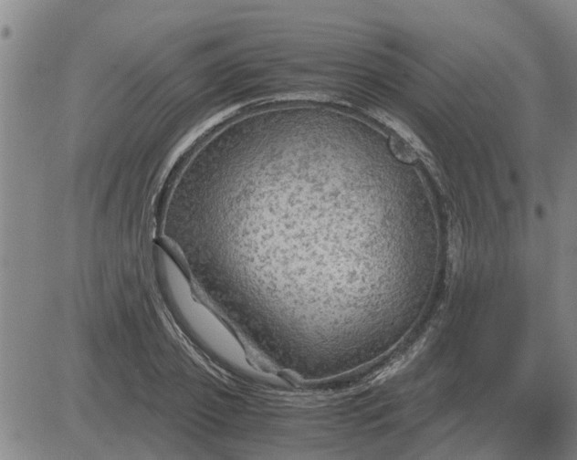 X0000084030933200703022119