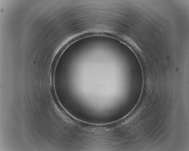 X0000084030934200703022119