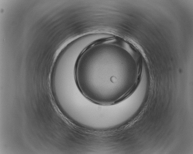 X0000084030936200703022119