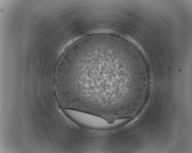 X0000084030937200703022119