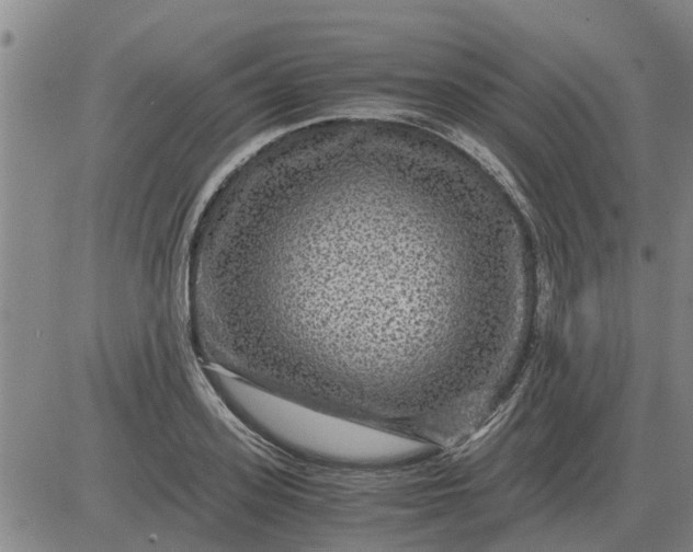 X0000084030939200703022119