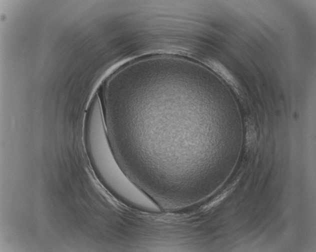 X0000084030940200703022119