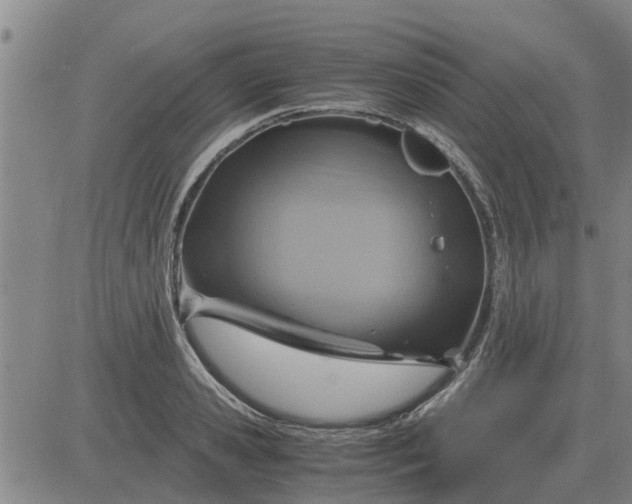 X0000084030941200703022119