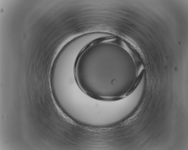 X0000084030942200703022119