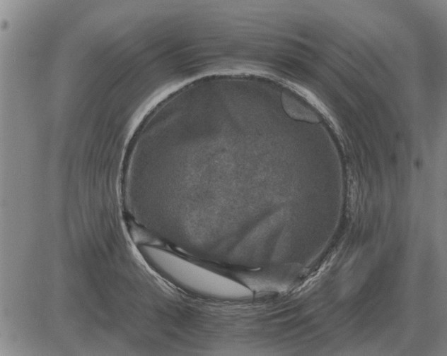 X0000084030943200703022119