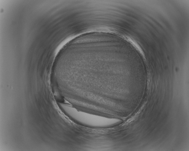 X0000084030944200703022119