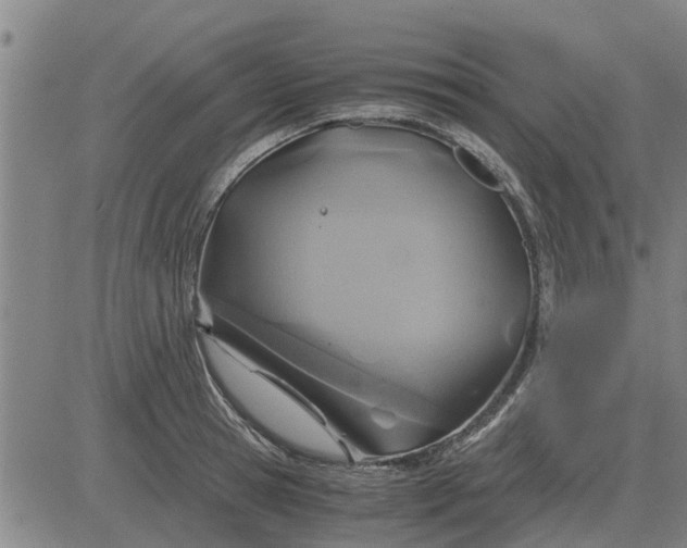 X0000084030945200703022119