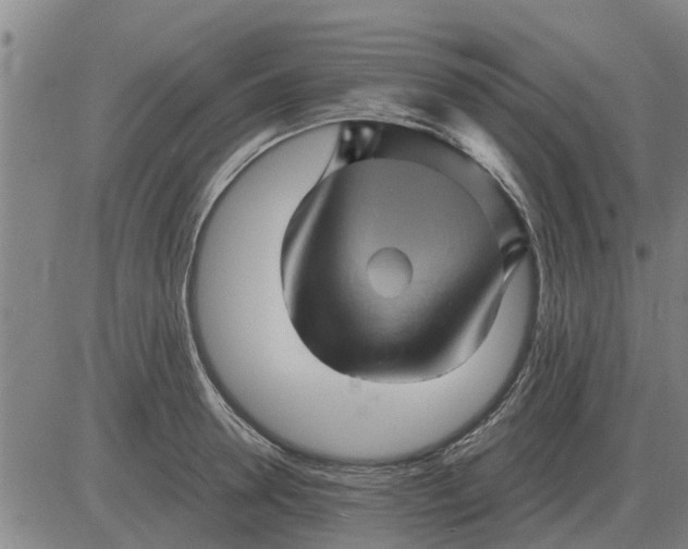 X0000084030946200703022119