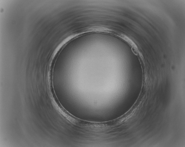 X0000084030947200703022119