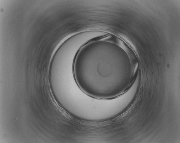 X0000084030948200703022119