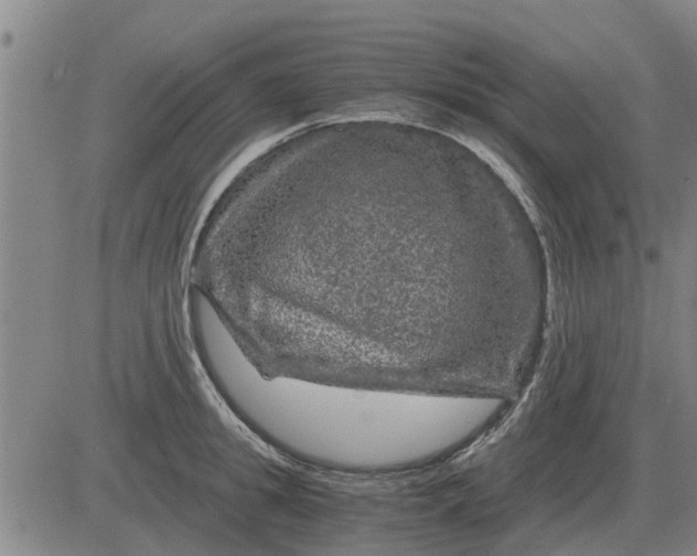 X0000084030949200703022119