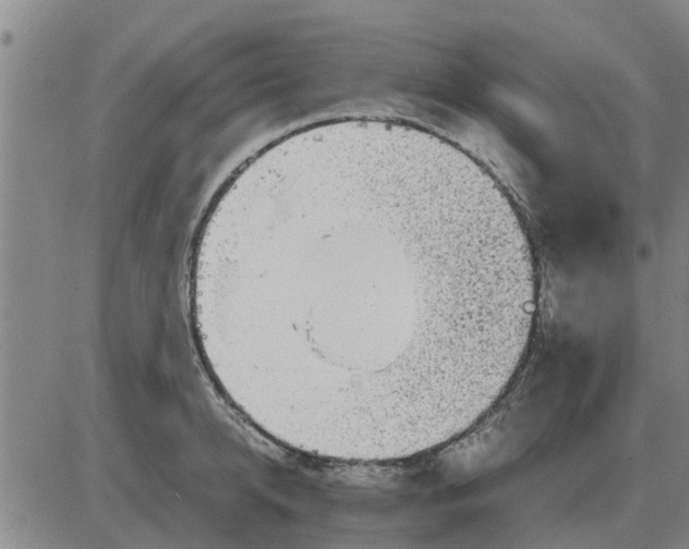 X0000084030950200703022119