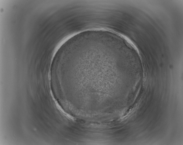 X0000084030951200703022119