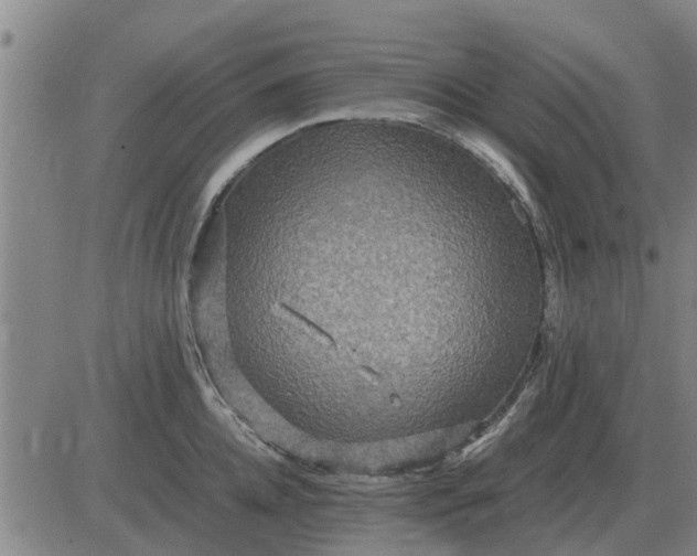 X0000084030952200703022119