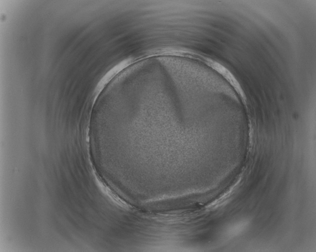 X0000084030954200703022119