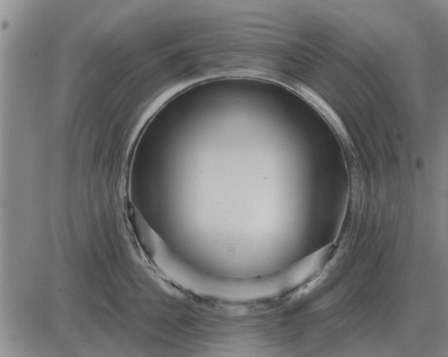 X0000084030956200703022119