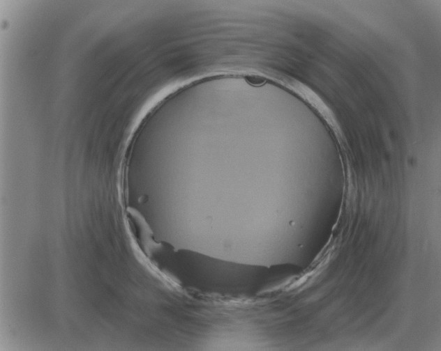 X0000084030958200703022119