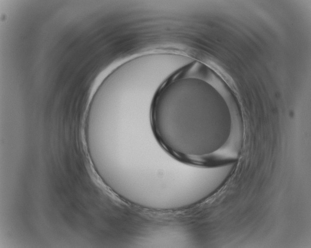 X0000084030960200703022119