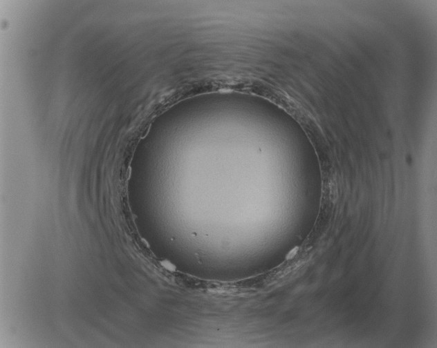 X0000084030961200703022118