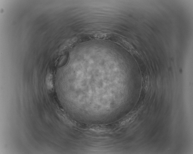 X0000084030962200703022118