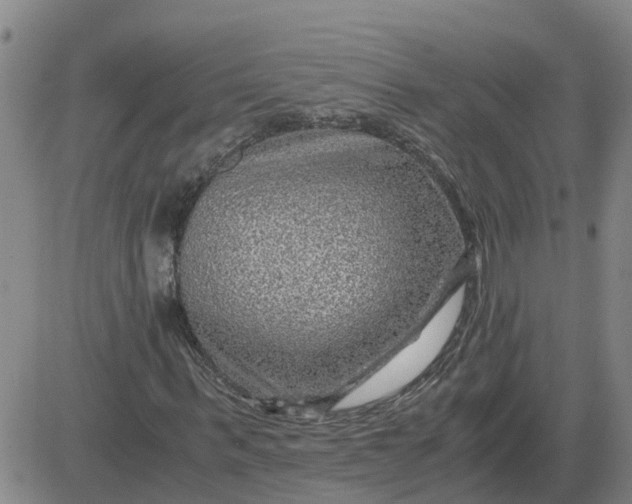 X0000084030963200703022118