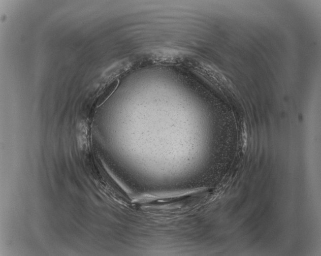 X0000084030964200703022118