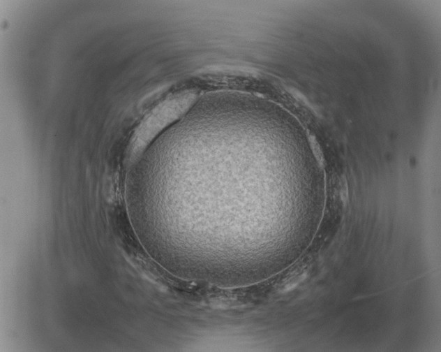 X0000084030965200703022118