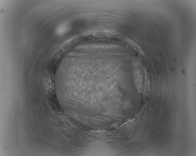 X0000084030966200703022118