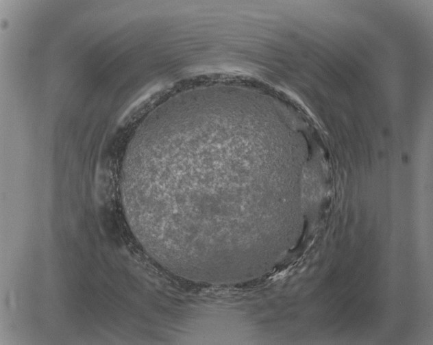 X0000084030967200703022118