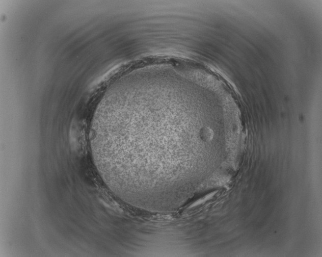 X0000084030968200703022118