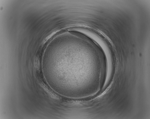 X0000084030969200703022118