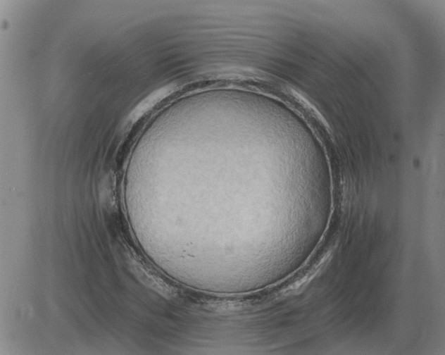 X0000084030970200703022118