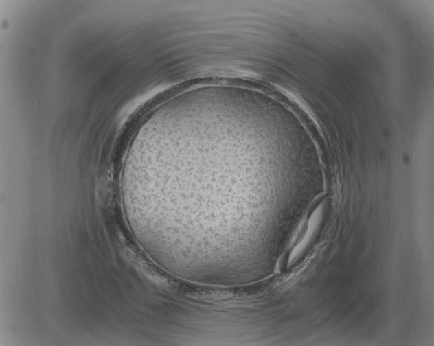 X0000084030971200703022118