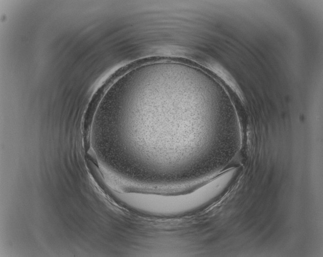 X0000084030972200703022118