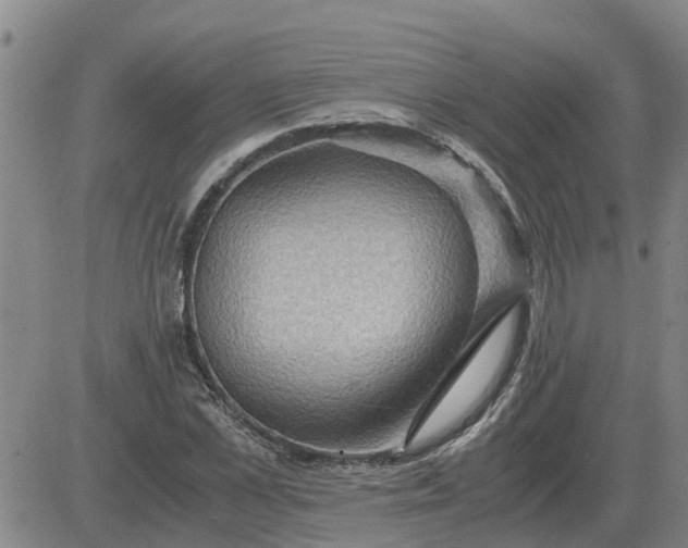 X0000084030973200703022118