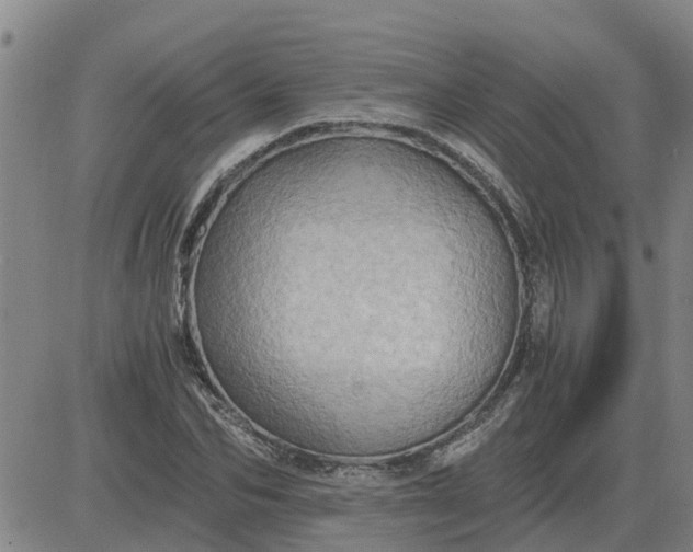 X0000084030974200703022118