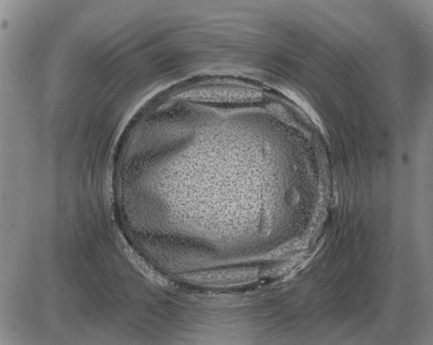 X0000084030976200703022118